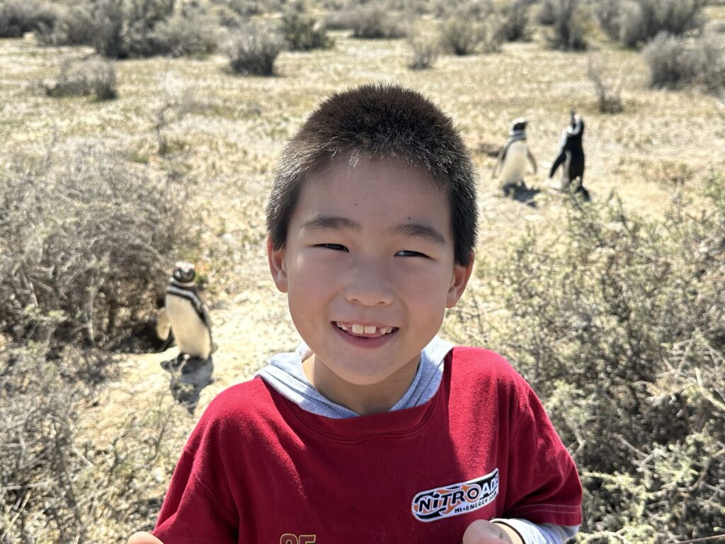 cute boy with magellenic penguins in the back while visiitng argentina