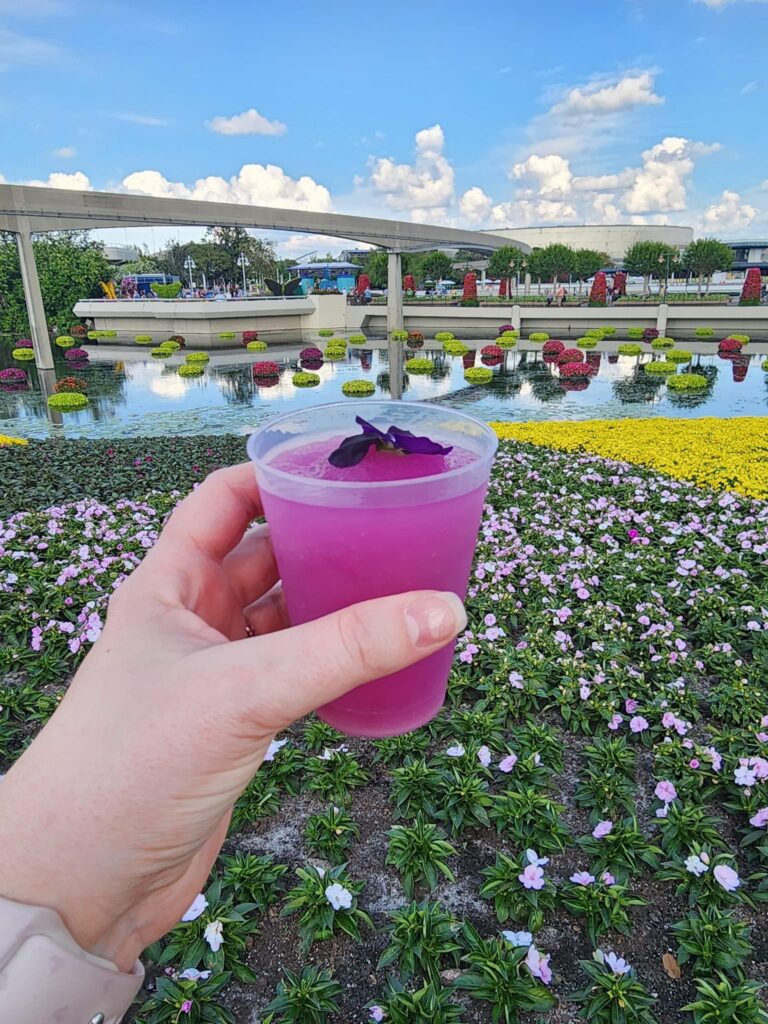 If you have the disney dining plan, you can order alcoholic beverages, milkshkes, smoothies, and other fun novelty drinks as part of your meal credit