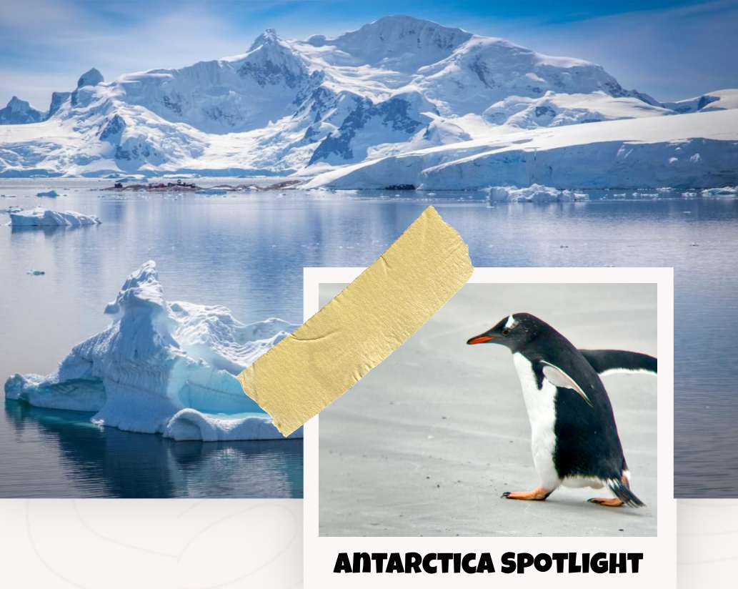 antarctica spotlight