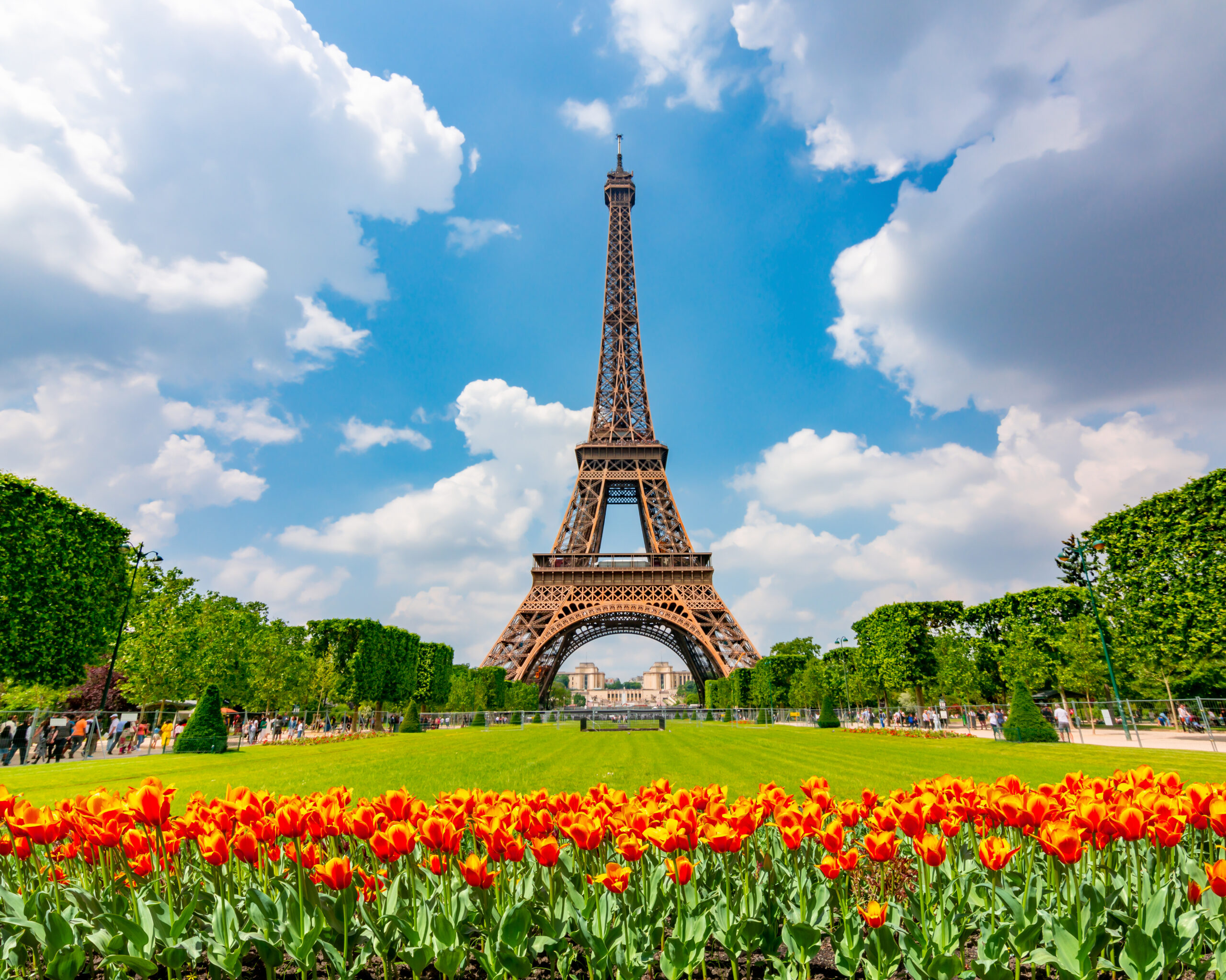 Eiffel Tower in Paris France with red tulips in front