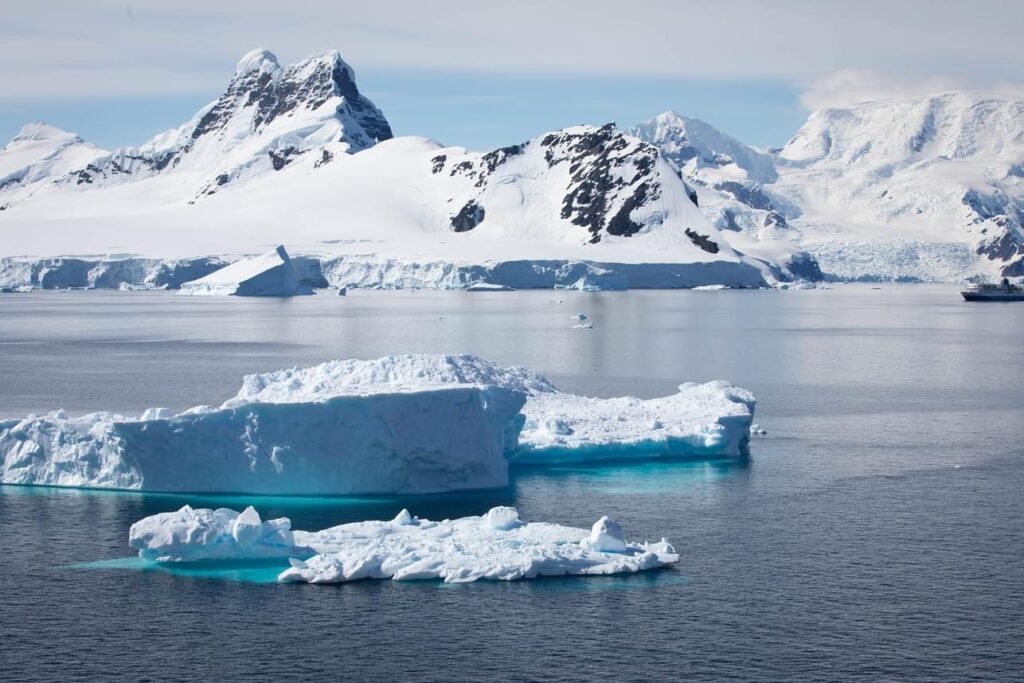 antarctica cruise with beautiful snowy mountains icebergs, animals