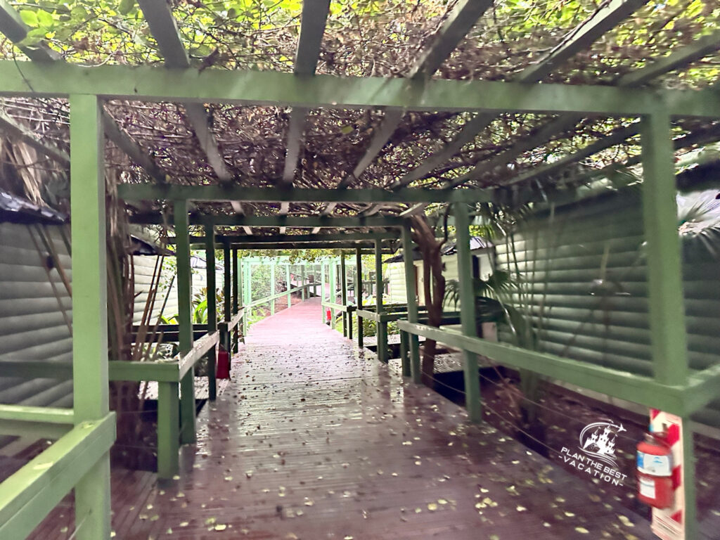 La Reserva Virgin Lodge jungle paths between rooms