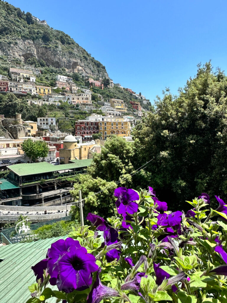 amalfi coast homes perched on side of cliffs with beautiful purple petunias in the foreground