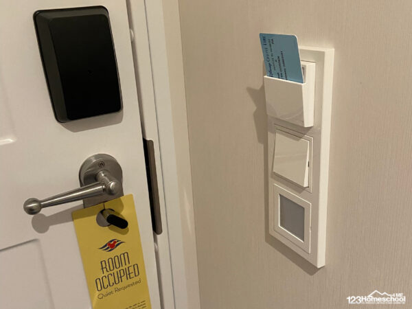 disney wish stateroom lights with keycard