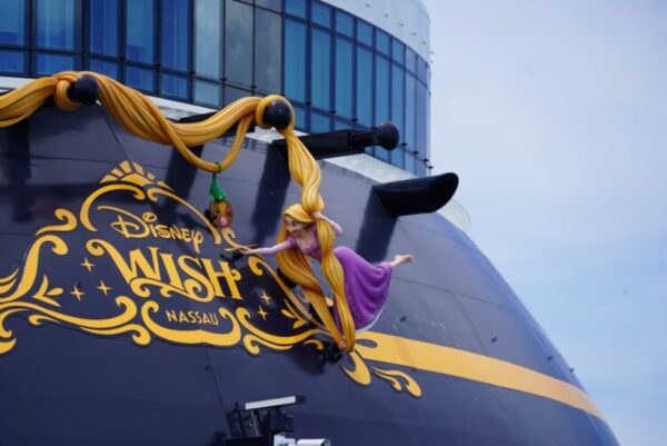 disney wish with character rapunzel on back