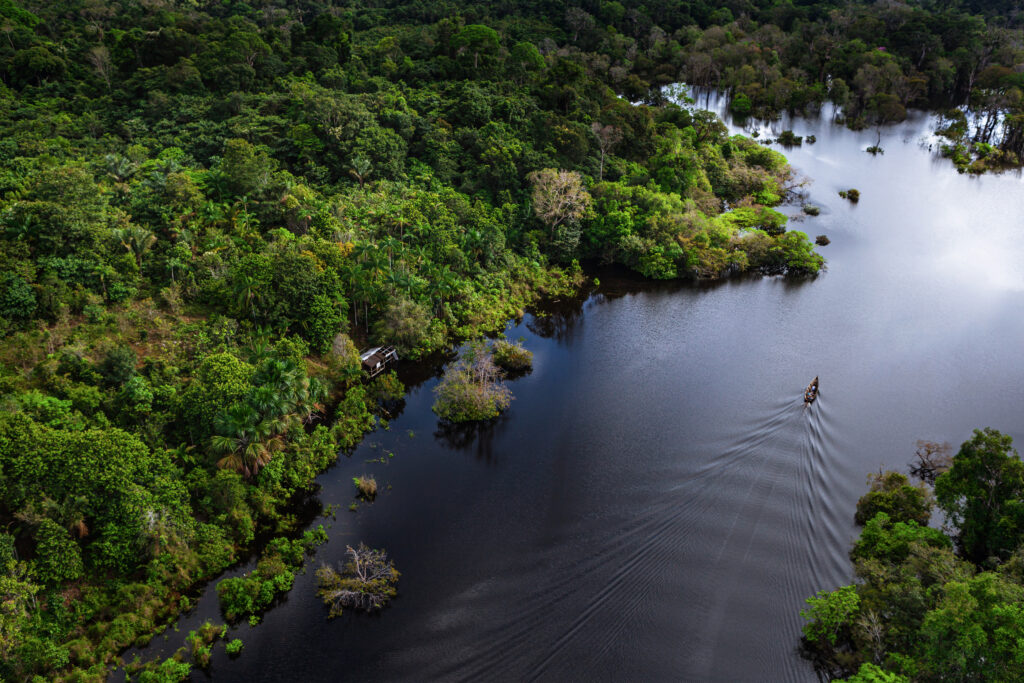 explore the amazon rainforest