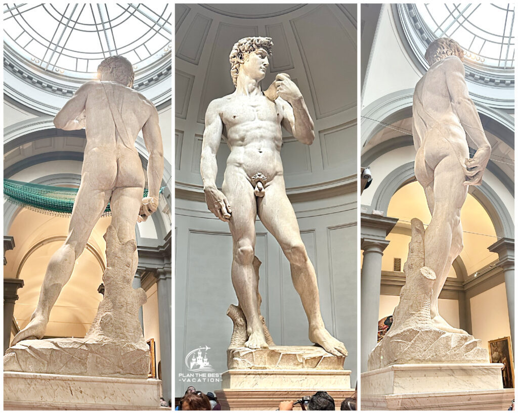 michaelangelo david statue from various angles