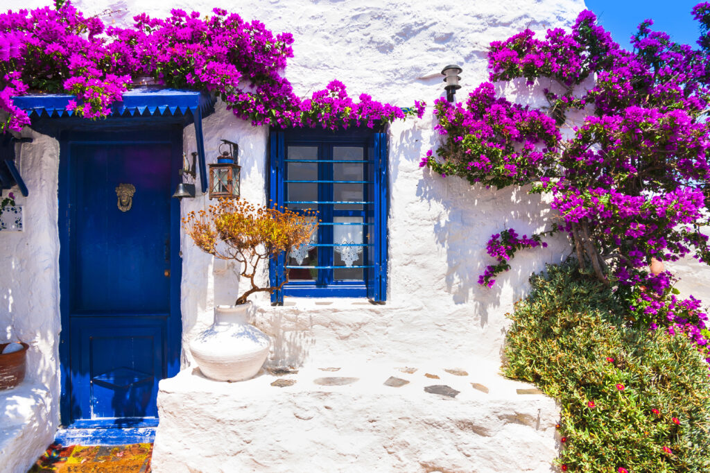 mykonos greece traditional white washed house with blue door and beautiful flowers