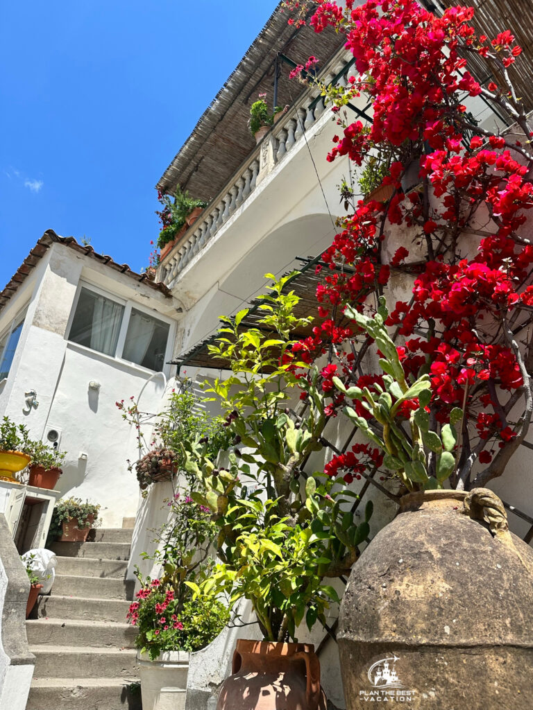 the charming homes were all adorned with beautiful flowers