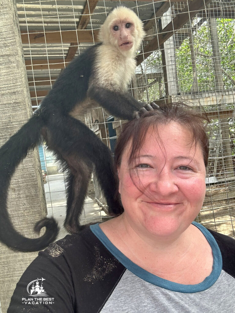 Easy Roatan Monkey, Sloth and Iguana Interaction