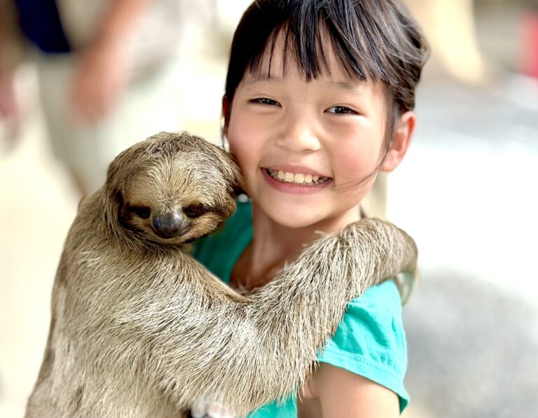 Monkey Sloth and Iguana Interaction – Crusie Port Excursion in Roatan, Honduras