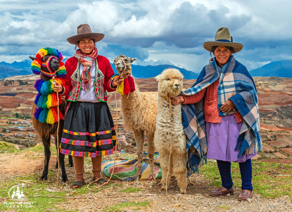 Quechua Indigenous Women in traditional clothes with llama and alpaca in sacred valley near cusco peru