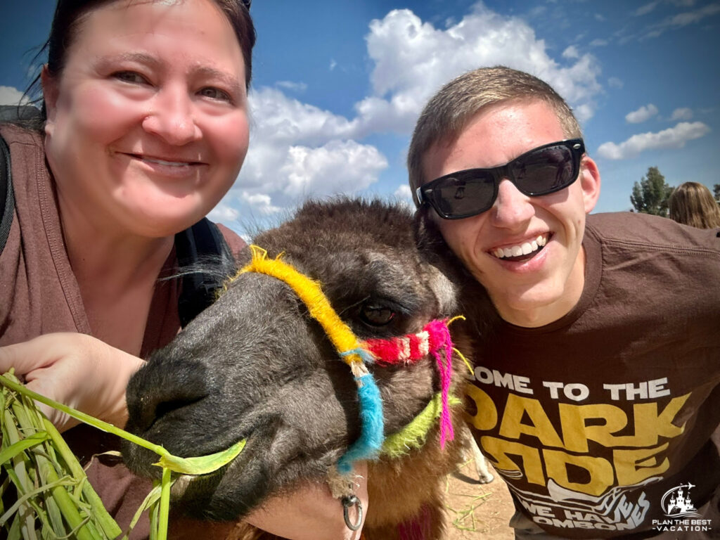 llama selfie in peru