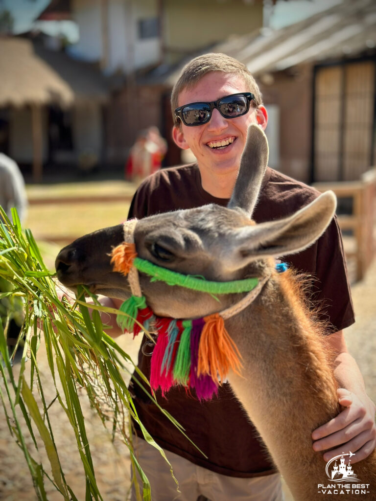 loco for llamas activity with adventures by disney peru