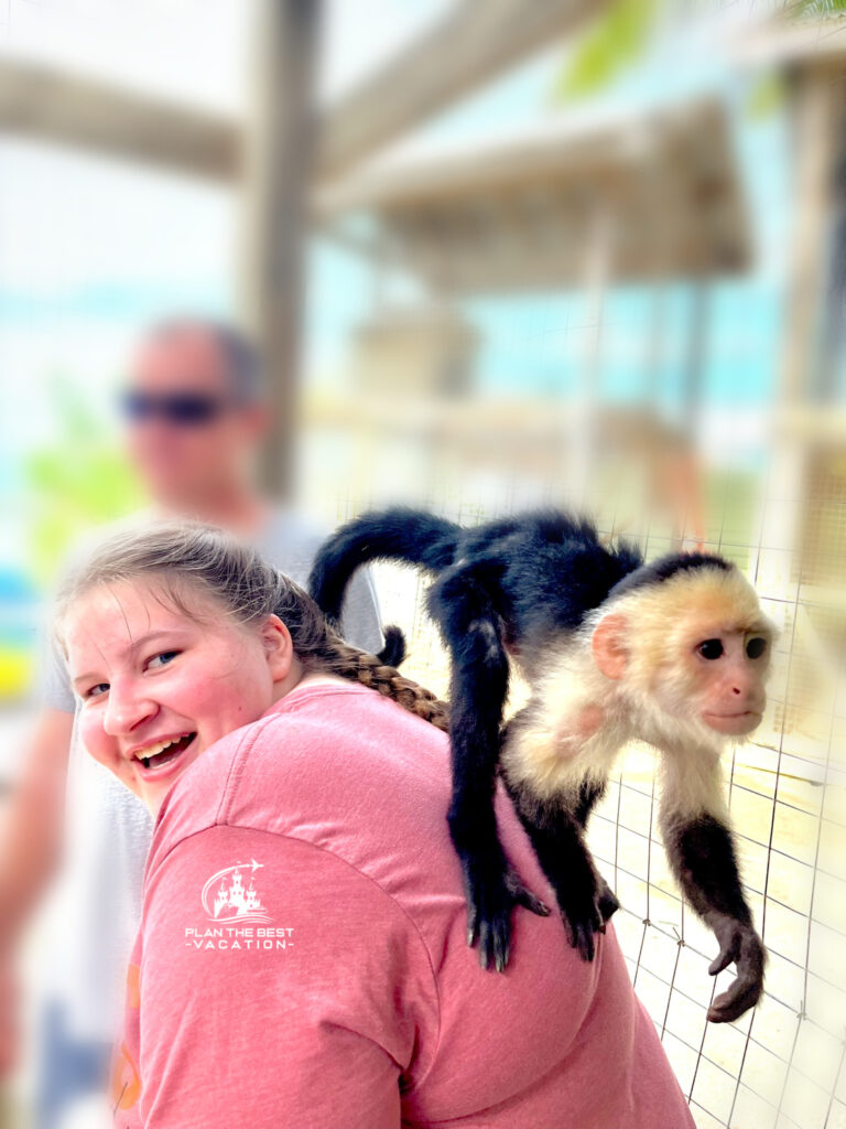 monkeys in honduras