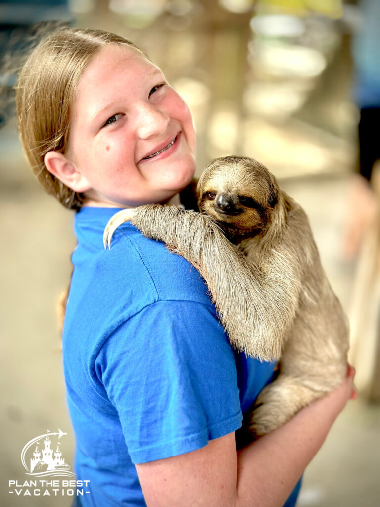 roatan sloth and monkey