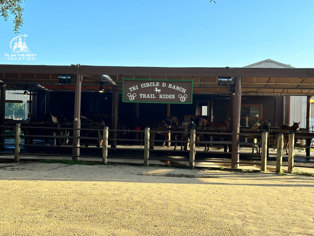 tri circle d ranch trail rides at fort wilderness disney world florida