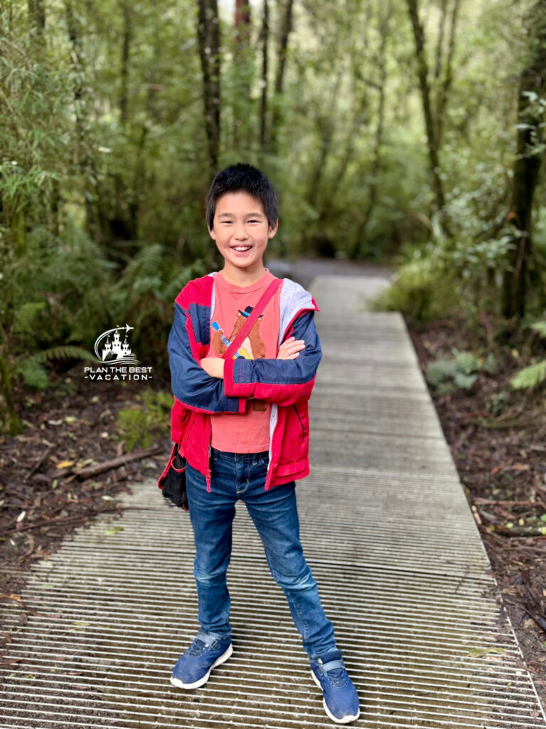 Great Otway National Park