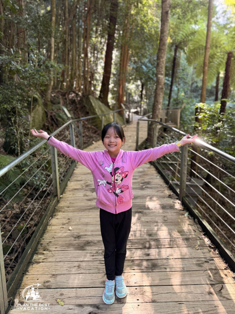 blue mountains hike on bridge sydney australia
