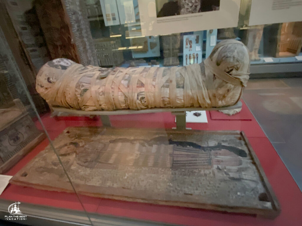 british museum young girl mummy from around 100 ad