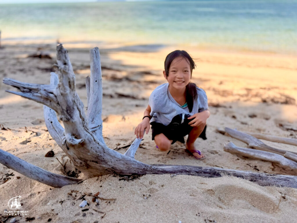 exploring green island cairns
