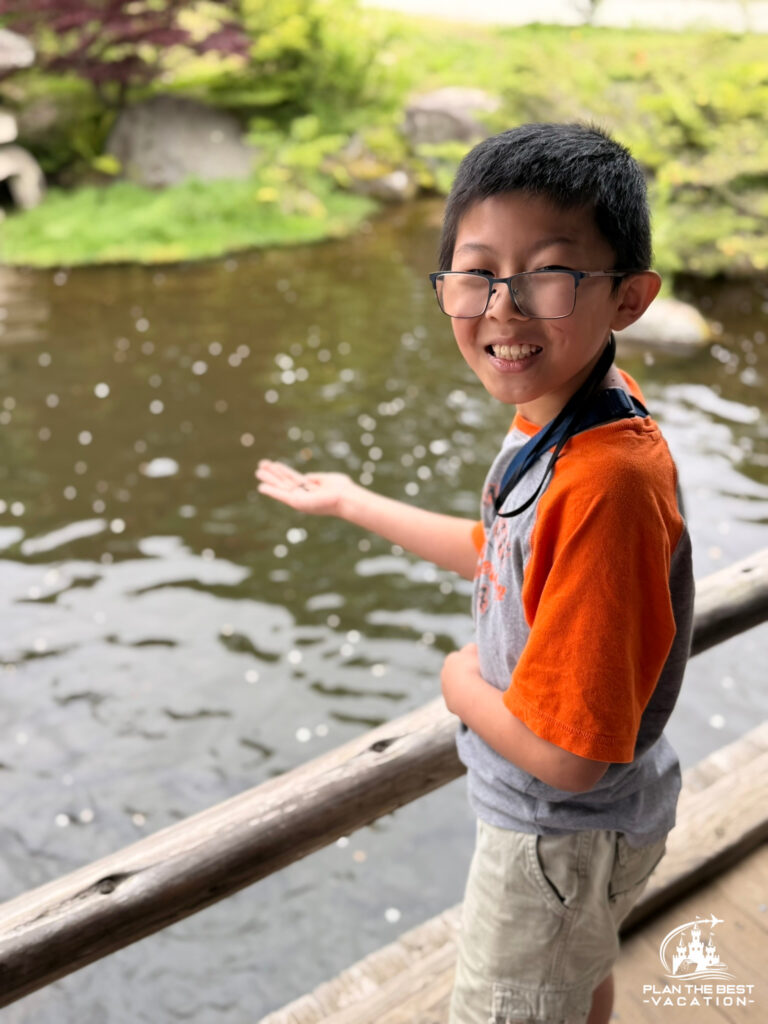 feeding fish in garden near oshino hakkai