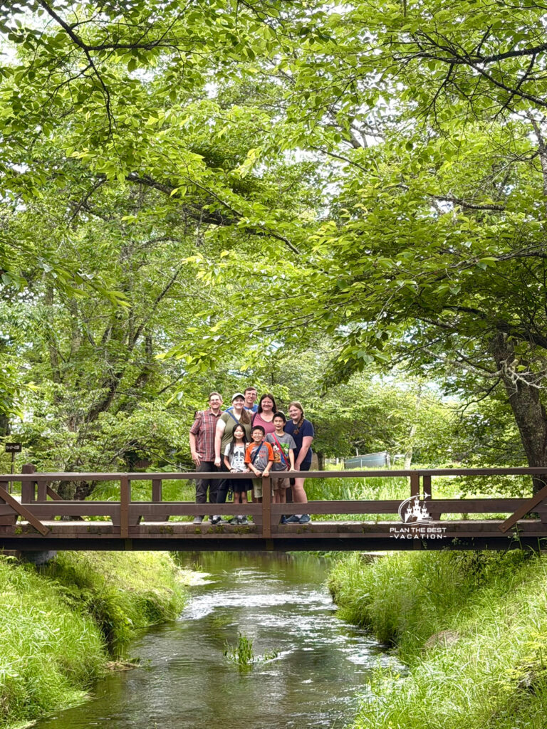 following water from Mt Fuji at oshino hakkai