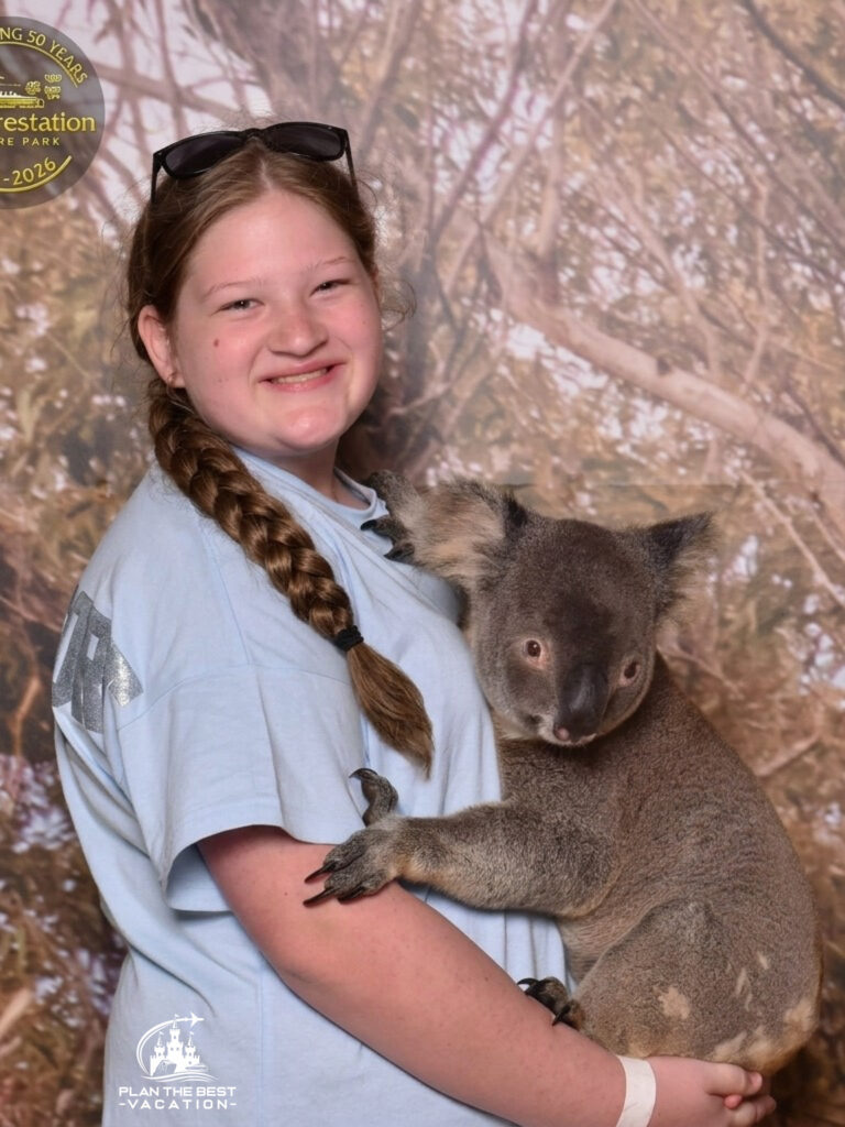 holding a koala in cairns australia