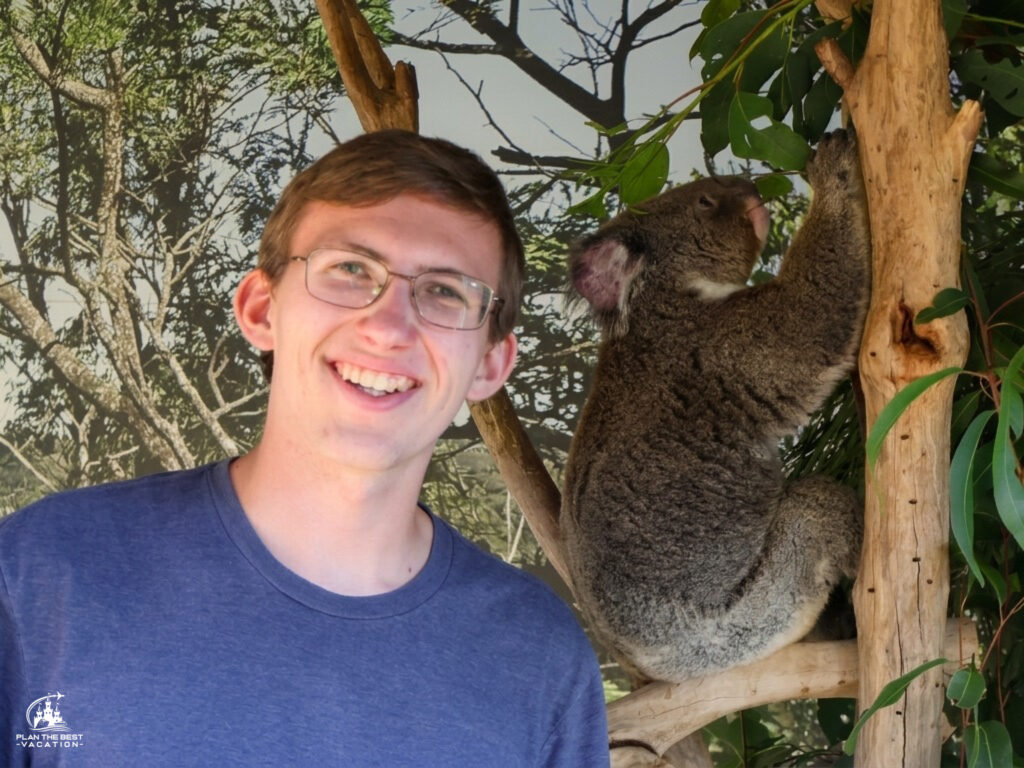 included koala pictures at sydney zoo