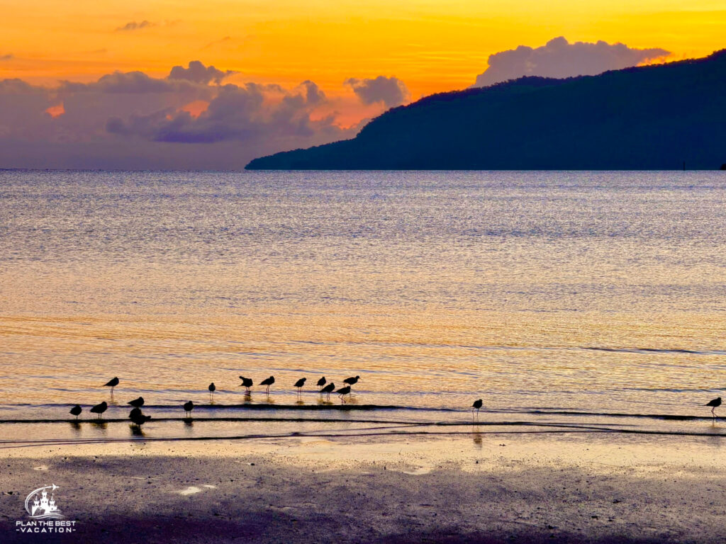 morning sunrise in Cairns Australia