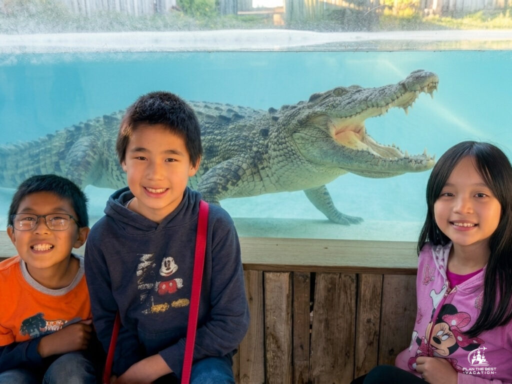 sydney zoo crocodile