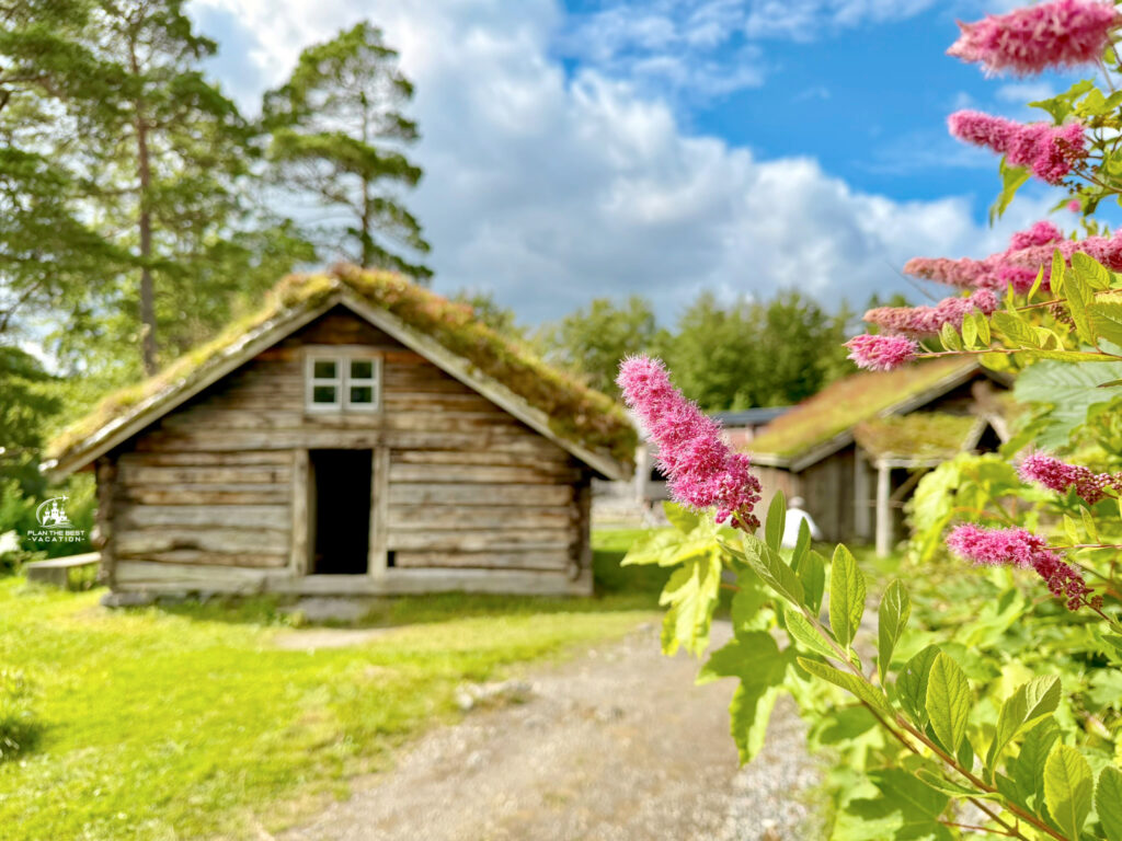 thatch roof house alesund norway